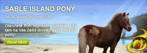 sable-island-pony.jpg